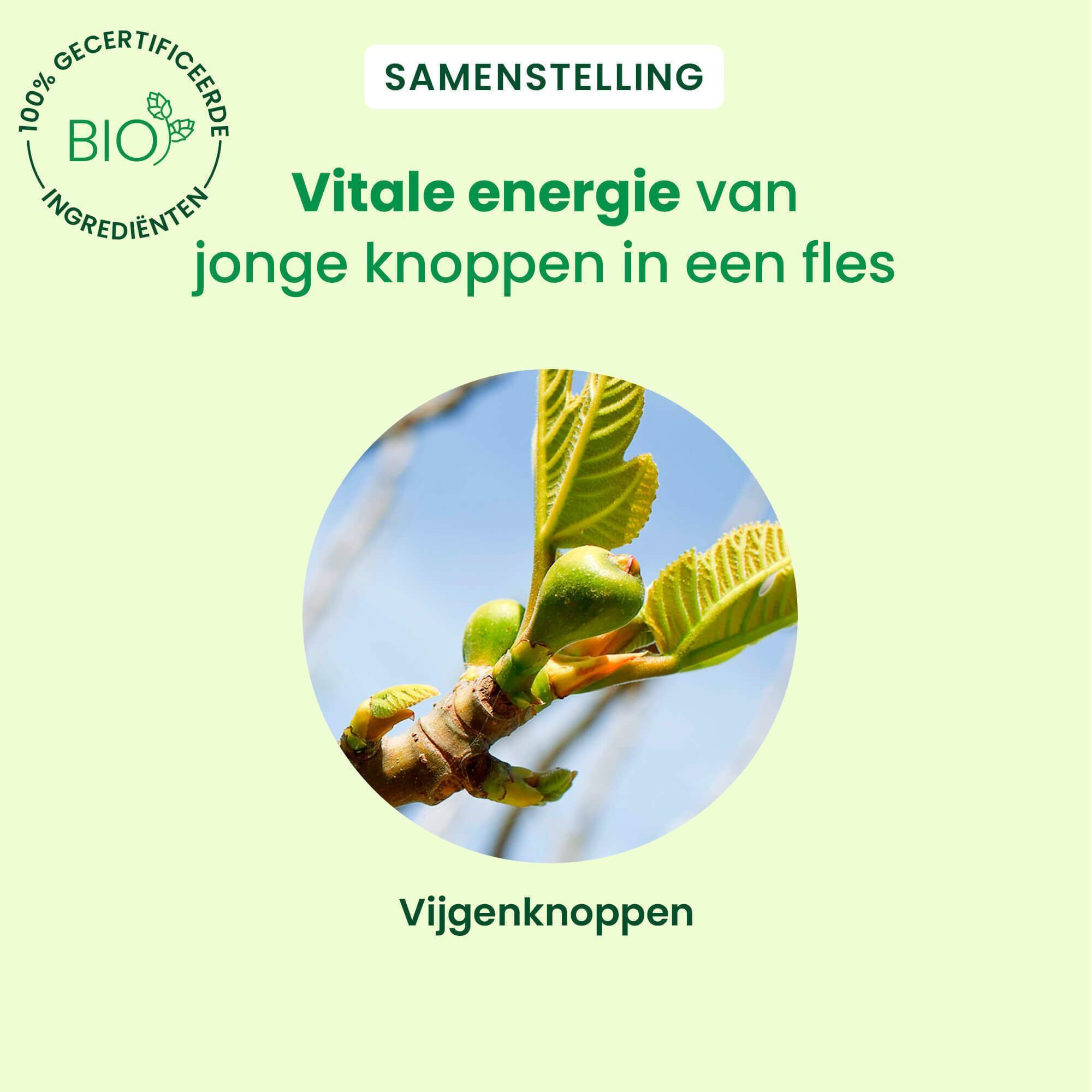 HerbalGem Vijgenboom Bio: 100% natuurlijke biologische ingrediënten, vegan.