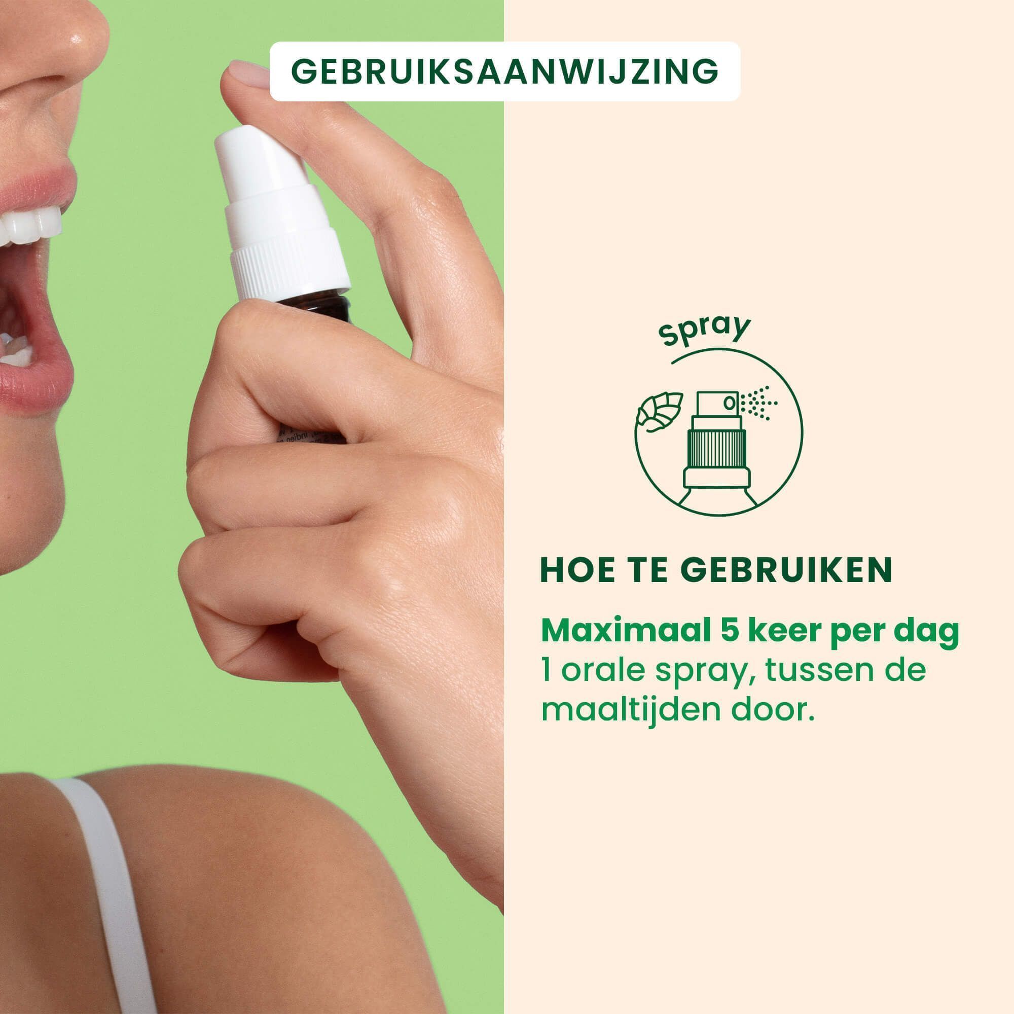 HerbalGem Vijgenboom Bio: samenstelling, vitale energie van jonge knoppen.