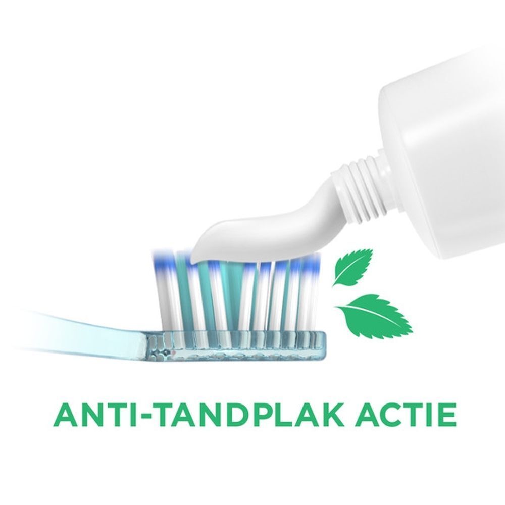 GUM Gingidex tandpastatube met Nederlandse tekst 'Je dagelijkse ritueel'.