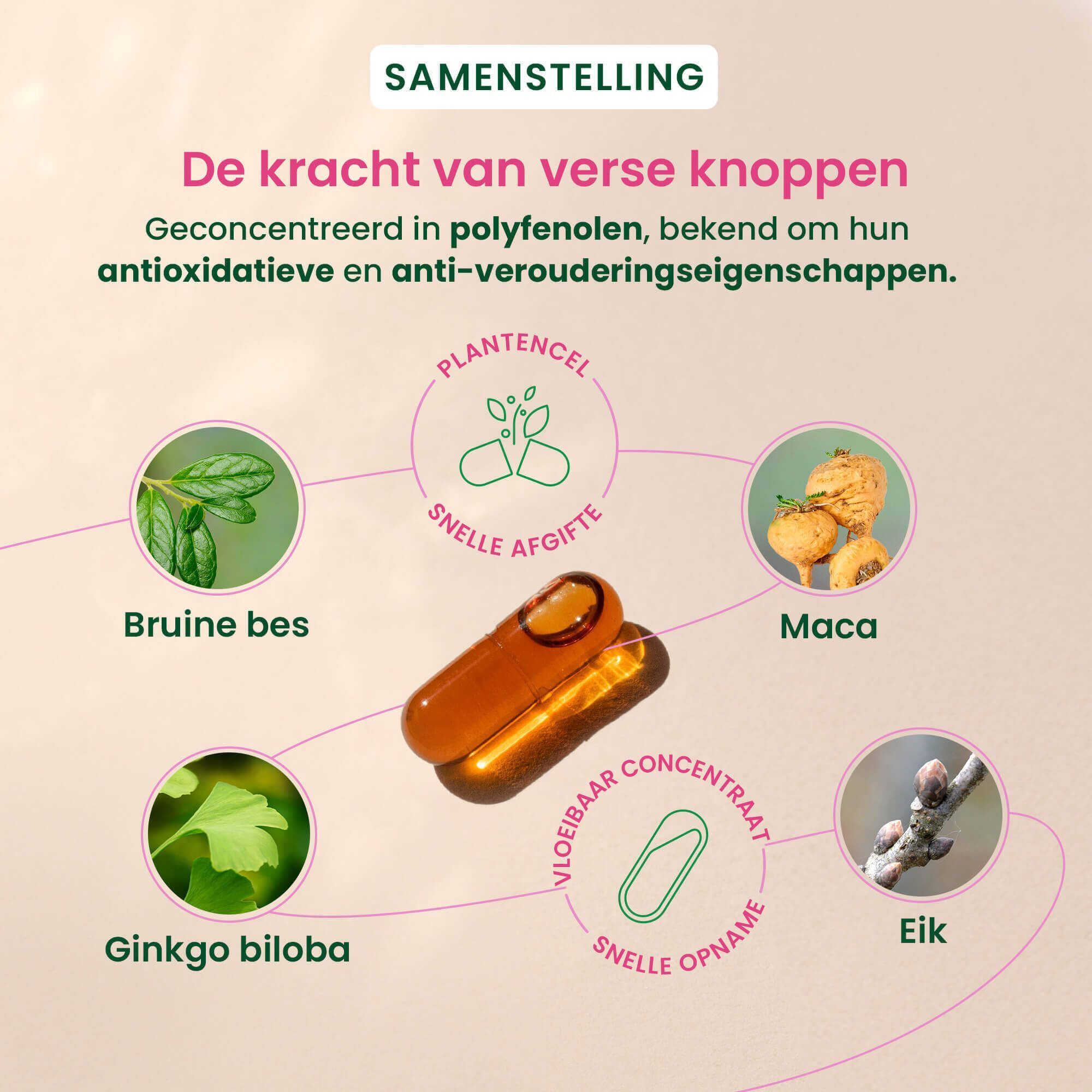 Symbolen voor bio, vegan, glutenvrij, hormoonvrij en kleurstofvrij.