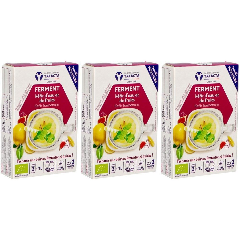 Drie pakken Yalacta Ferment voor water- en fruitkefir, met citroen- en muntdesigns.
