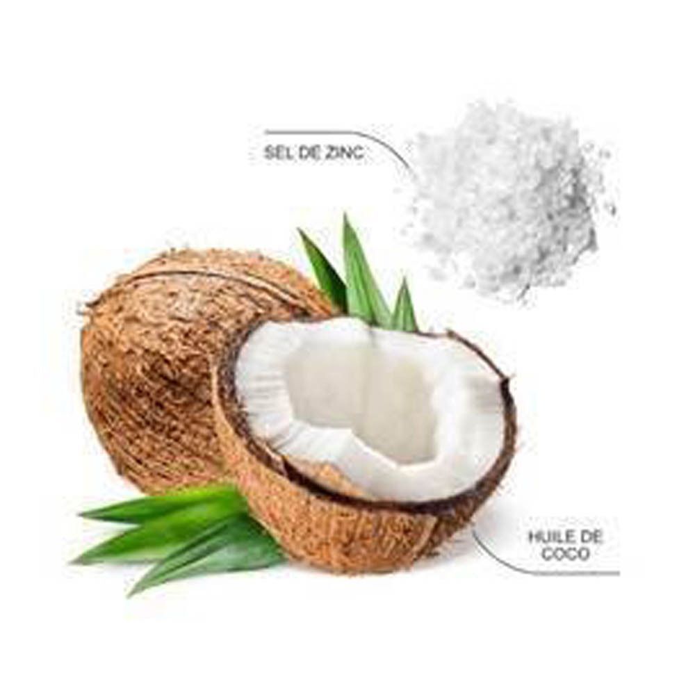 Une noix de coco coupée en deux, avec de la noix de coco râpée et des feuilles, à côté 'SEL DE ZINC' et 'HUILE DE COCO'.