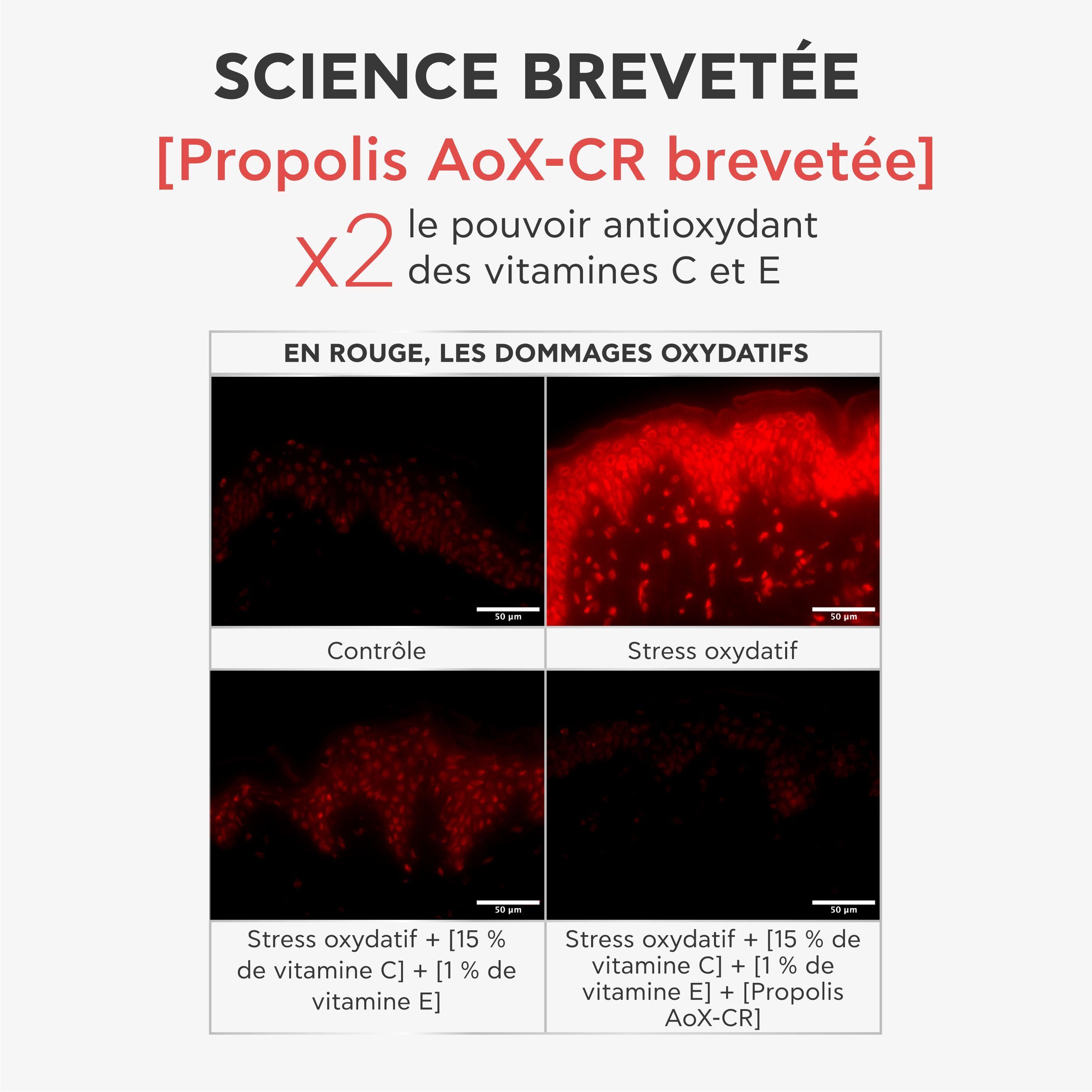 Science brevetée : Propolis AoX-CR double le pouvoir antioxydant des vitamines C et E.