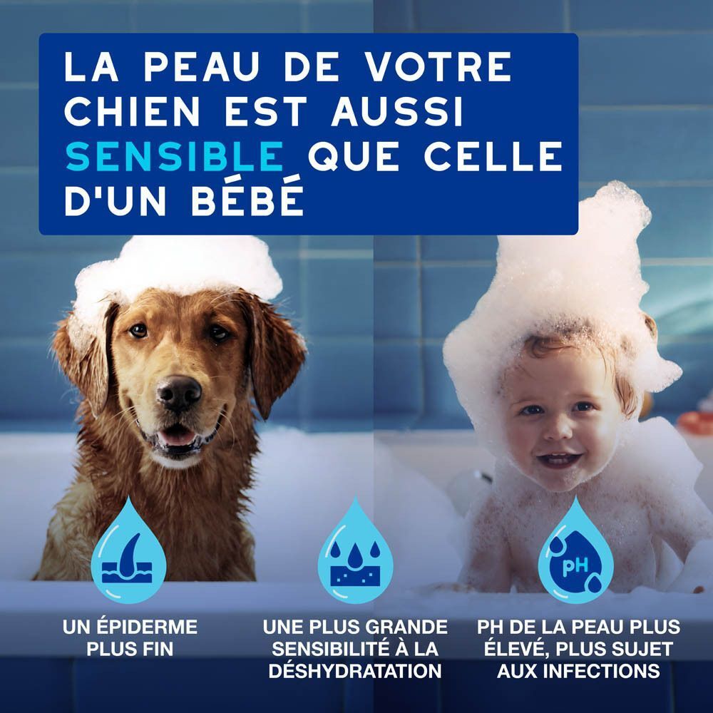 Un chien et un bébé dans la mousse. Comparaison de la peau du chien et de la peau du bébé.