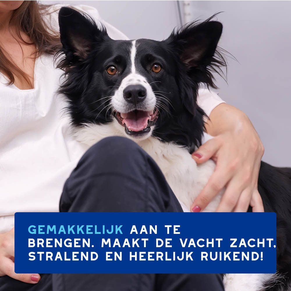 Een Border Collie zit op de schoot van een persoon. De tekst zegt dat de vacht zacht en glanzend wordt.