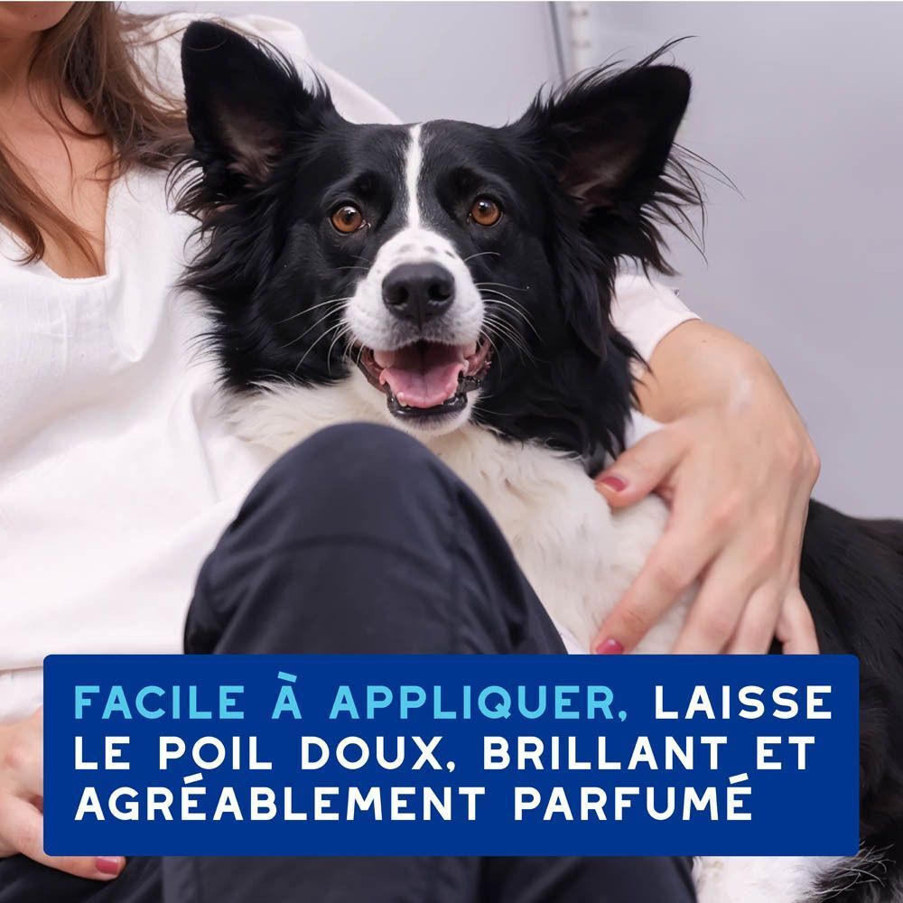 Un Border Collie assis sur les genoux d'une personne. Le texte en bas décrit le produit.