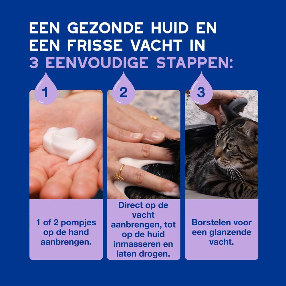 Drie stappen voor het aanbrengen van de mousse: op hand spuiten, aanbrengen, inmasseren.