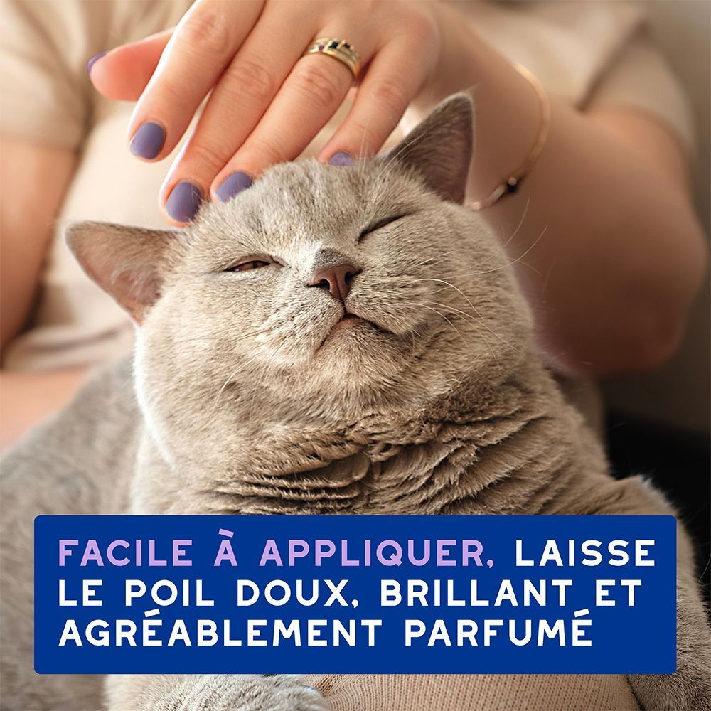 Chat caressé, avec texte sur la facilité d'application et le poil doux.