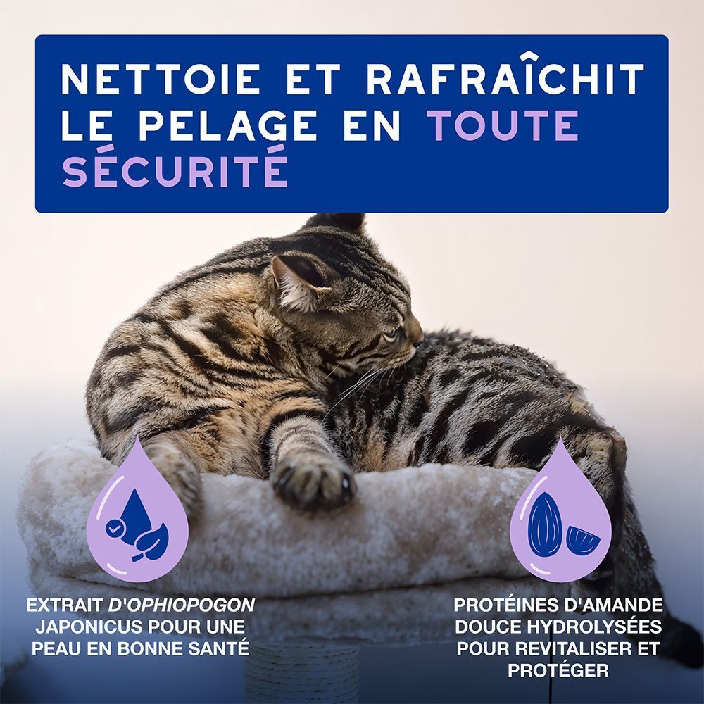 Chat sur un coussin, avec texte sur le nettoyage et le rafraîchissement du pelage.