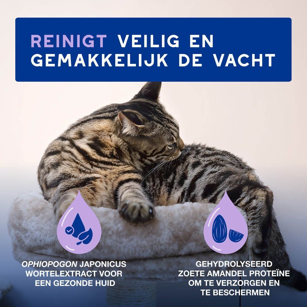 Kat op een kussen, met tekst over het reinigen en verfrissen van de vacht.