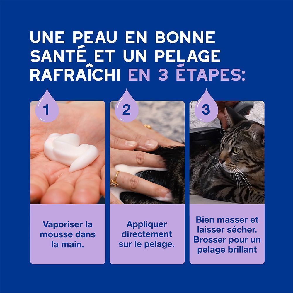 Trois étapes pour appliquer la mousse sur le pelage d'un chat.
