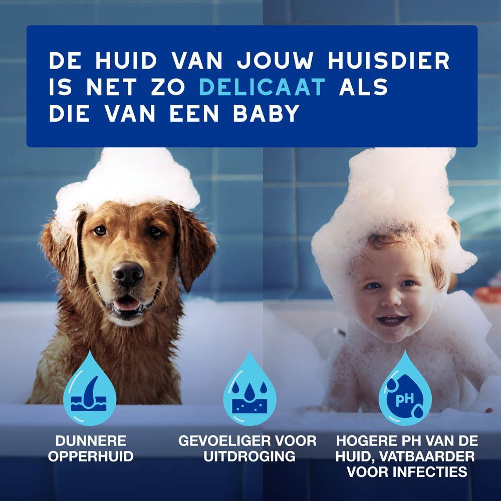 Een hond en een baby in schuim, vergelijking van huidgevoeligheid.