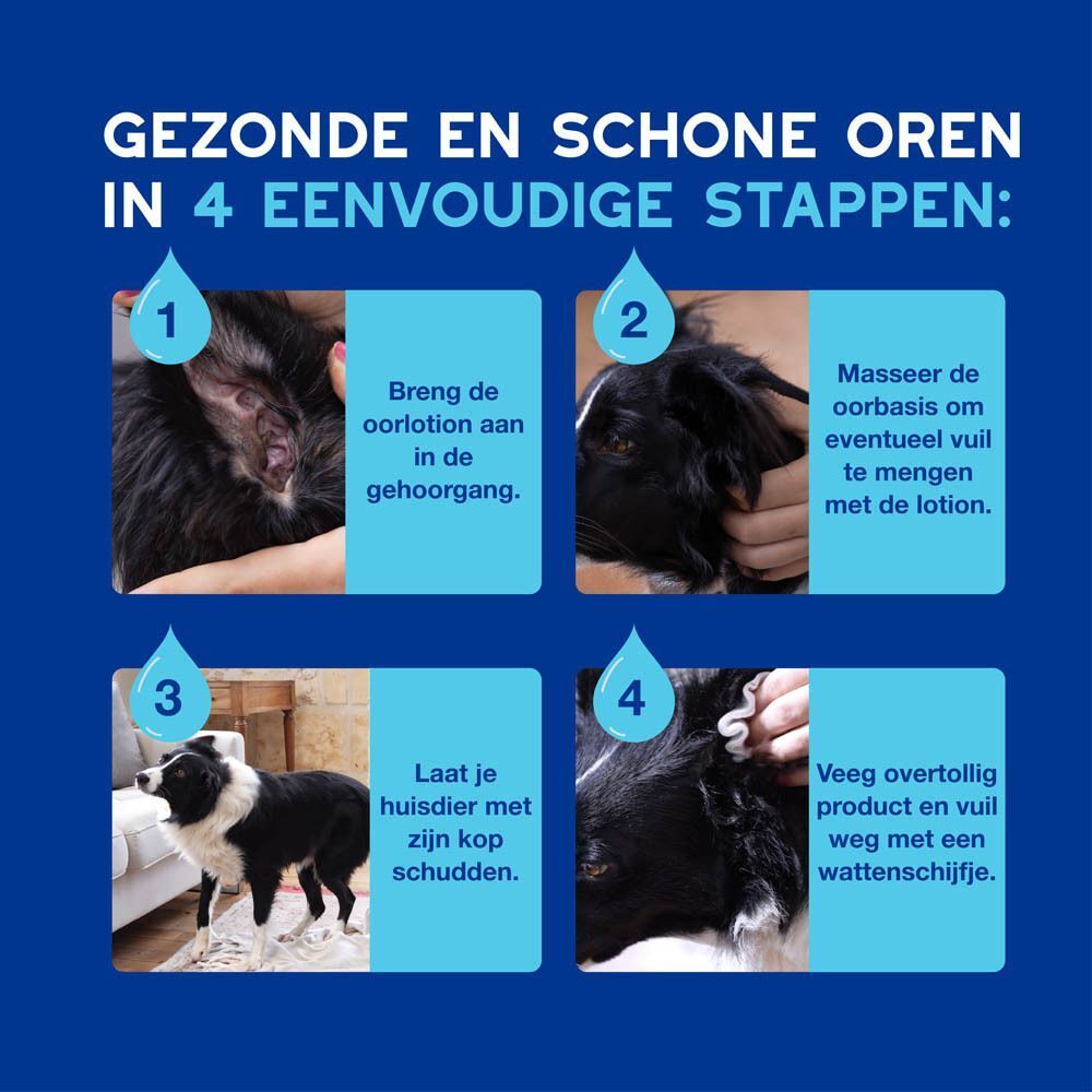Vier stappen voor het reinigen van hondenoortjes met illustraties.