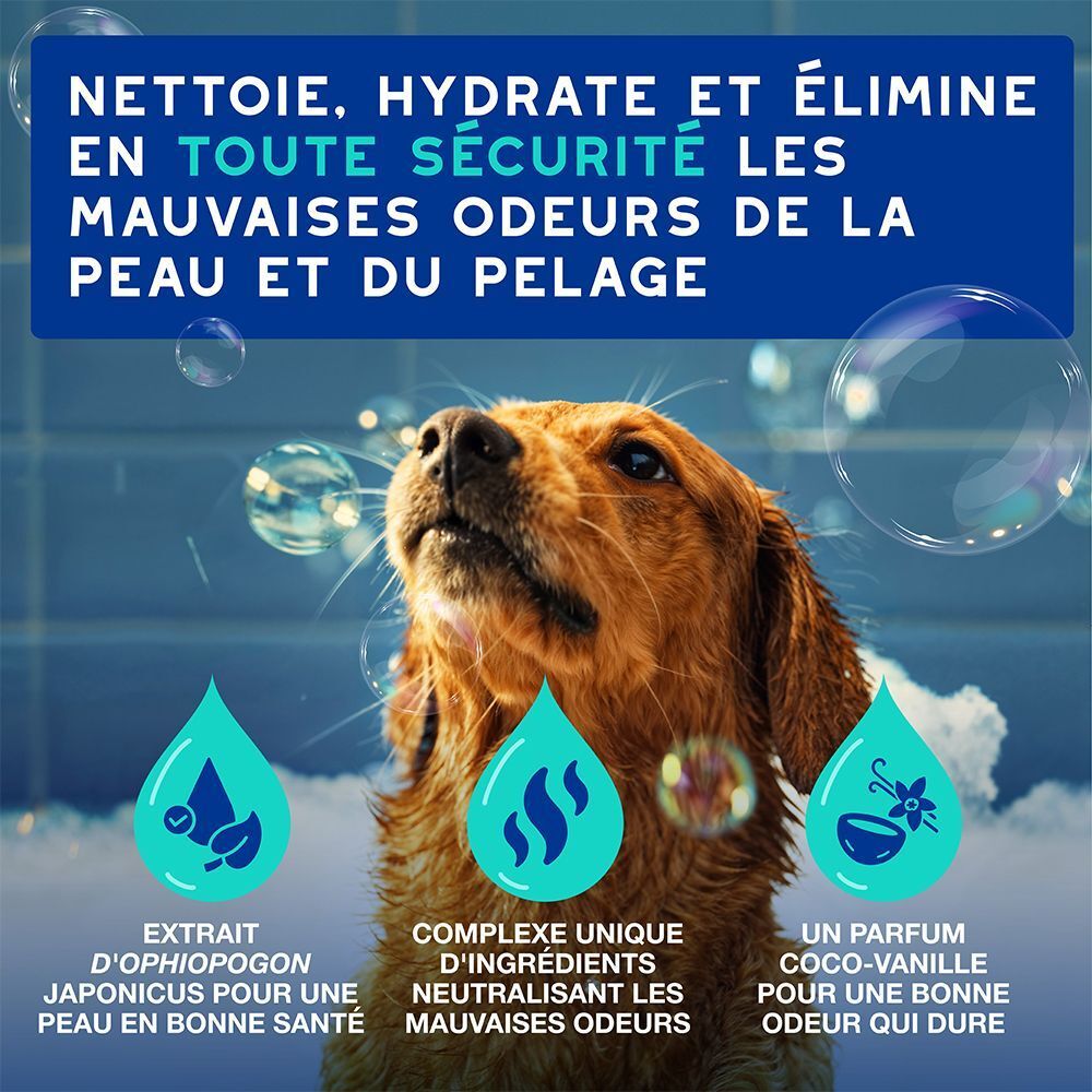 Un chien est baigné, avec un texte sur le nettoyage et l'élimination des odeurs.