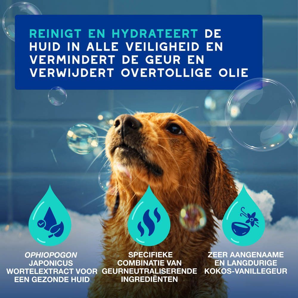 Een hond wordt gewassen, met tekst over reiniging en geurverwijdering.