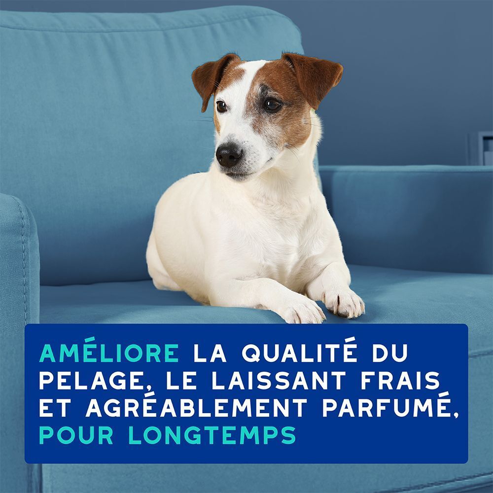 Un chien assis sur un canapé, avec un texte sur l'amélioration de la qualité du pelage et du parfum.