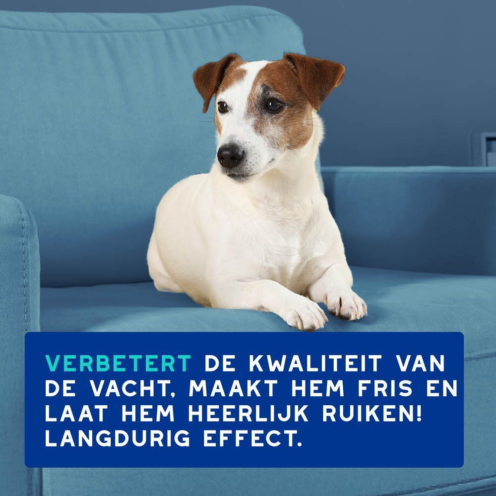 Een hond zit op een bank, met tekst over verbeterde vachtkwaliteit en geur.