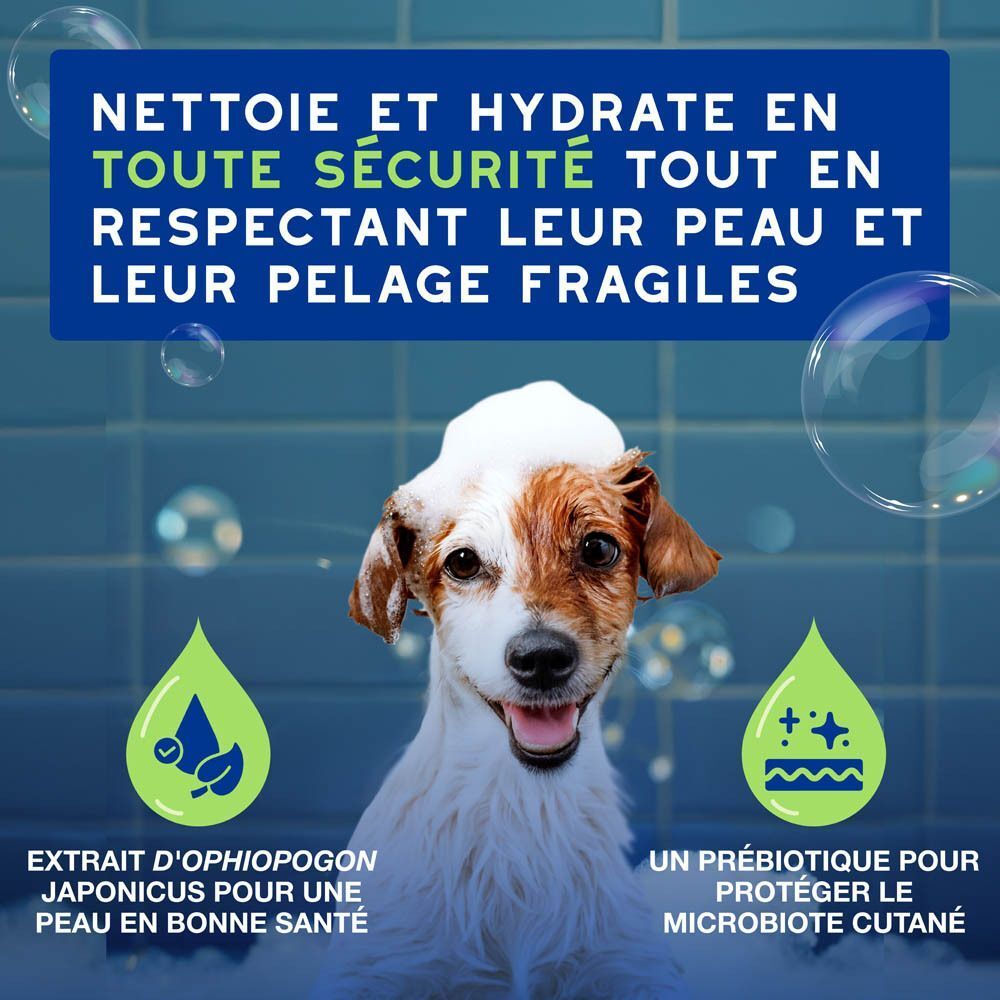 Un chien savonneux, nettoyé et hydraté.