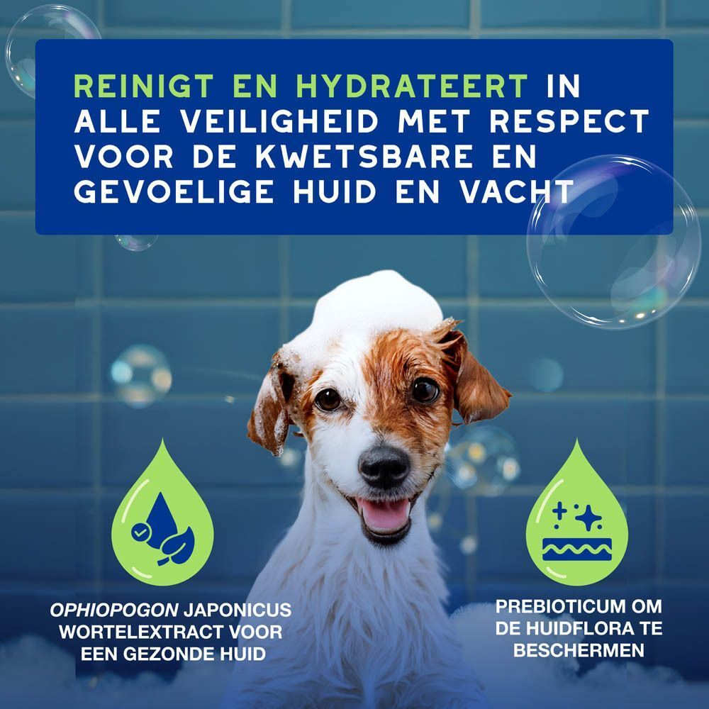 Een hond met schuim, gereinigd en gehydrateerd.