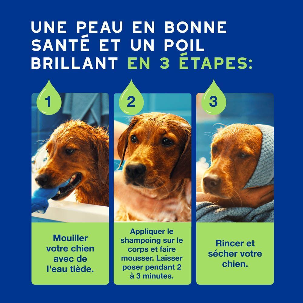 Trois étapes pour le toilettage d'un chien avec le shampooing Douxo.