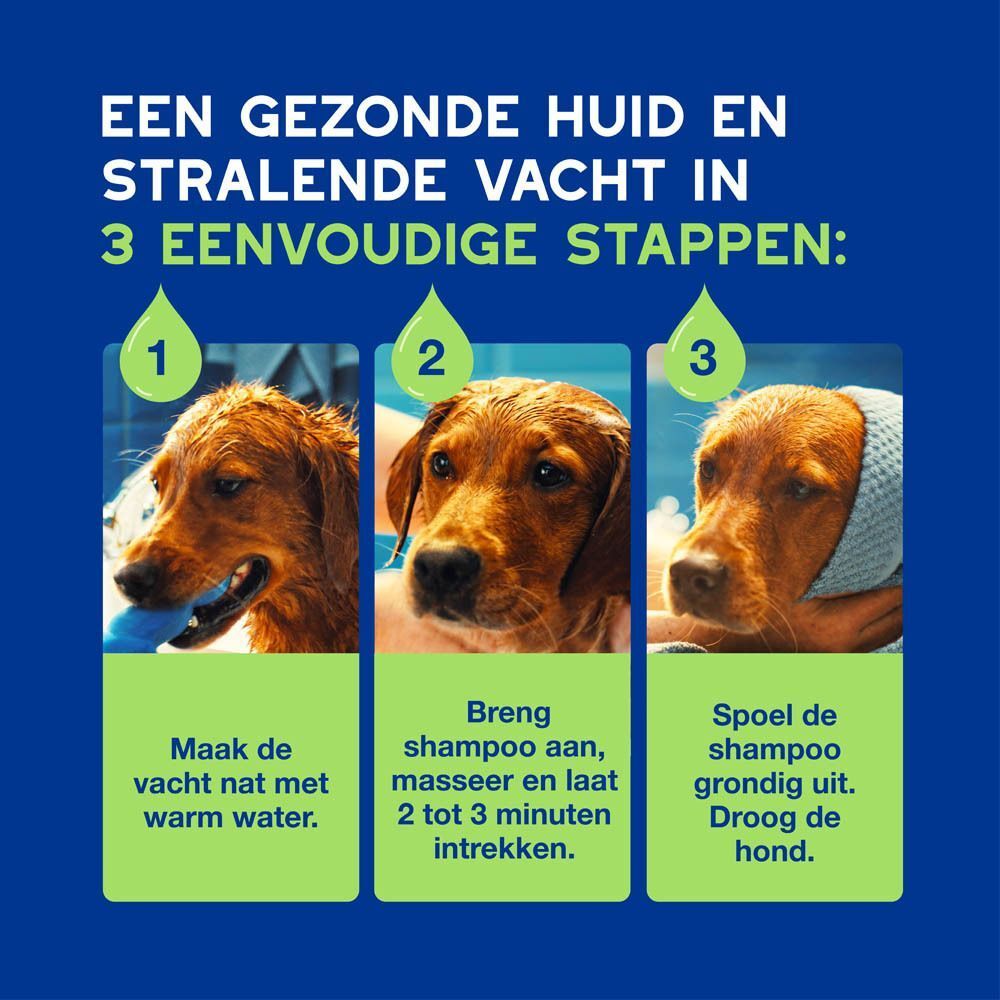 Drie stappen voor de vachtverzorging van een hond met Douxo shampoo.