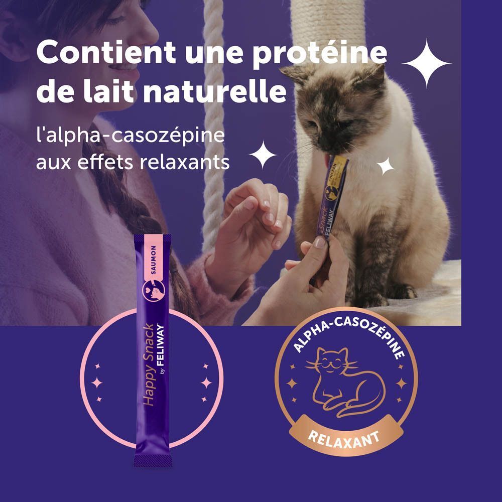 Chat mange Happy Snack de la main, contient une protéine de lait naturelle pour la détente.