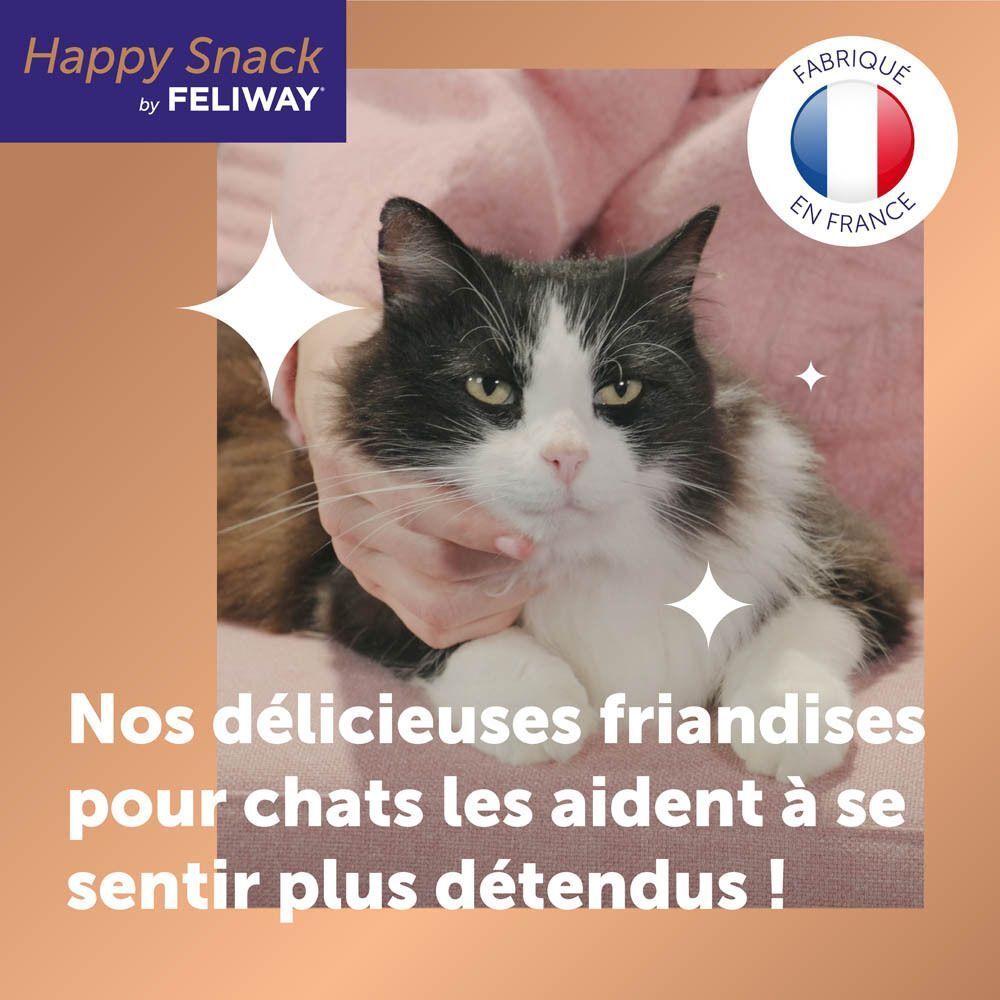 Chat détendu avec une femme. Fabriqué en France. Nos friandises aident les chats.