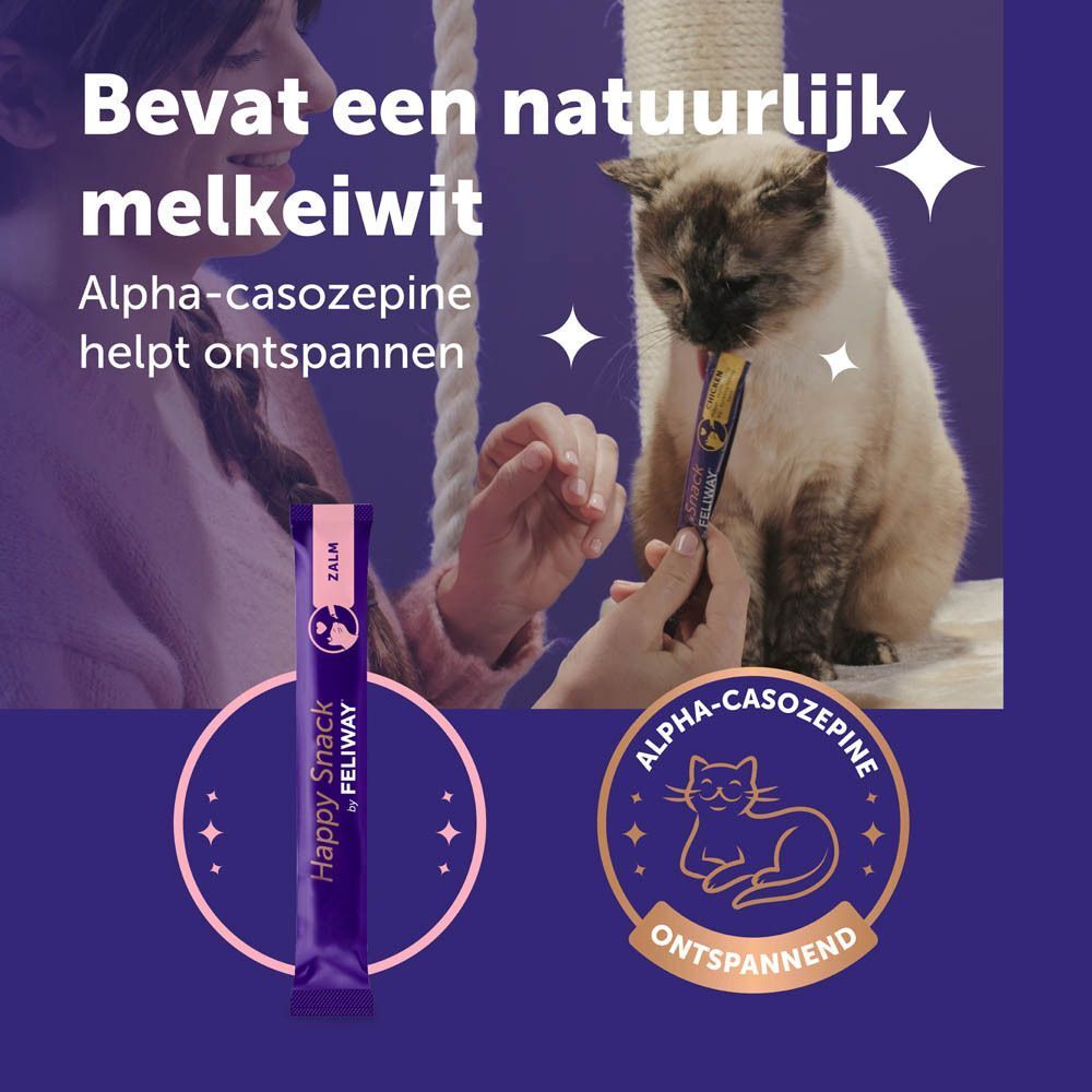 Kat eet een snack uit de hand, met een natuurlijke melkeiwit-alpha-casozepine formule.