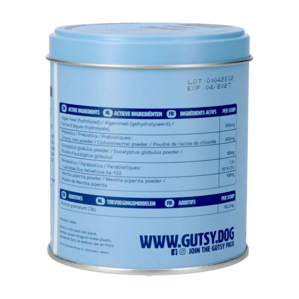 Arrière d'une boîte bleue claire de Gutsy Dental Powder avec ingrédients et instructions.
