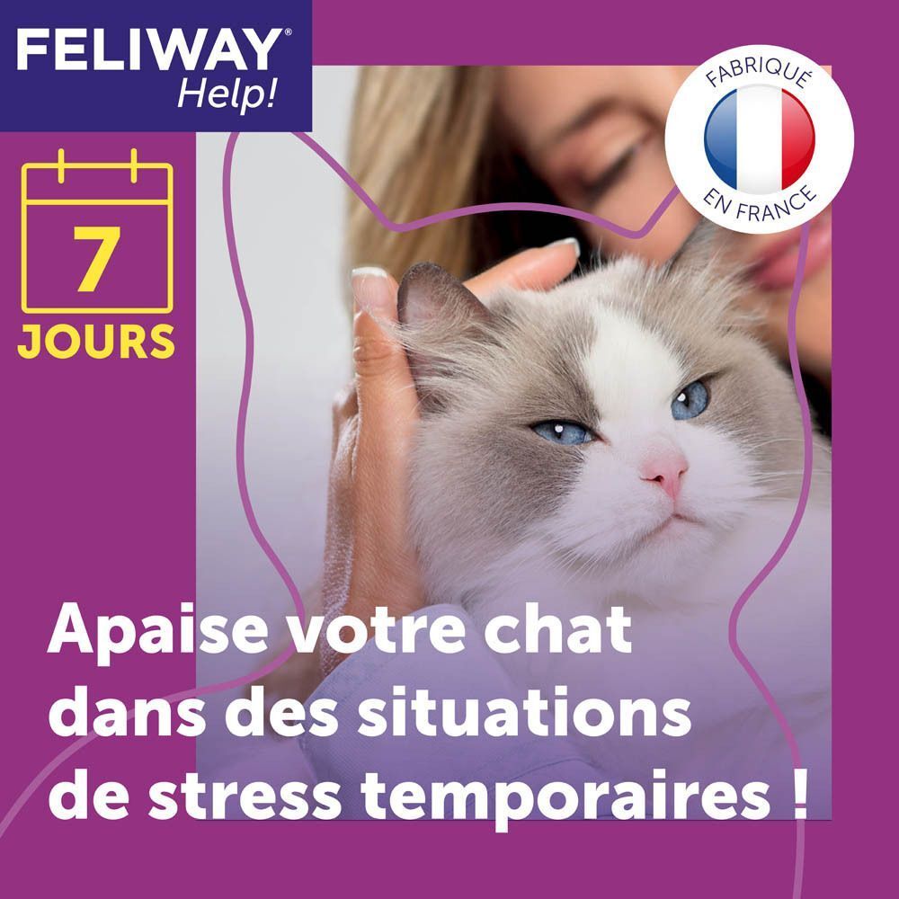 Une femme tient un chat, FELIWAY Help! apaise les chats en situation de stress.