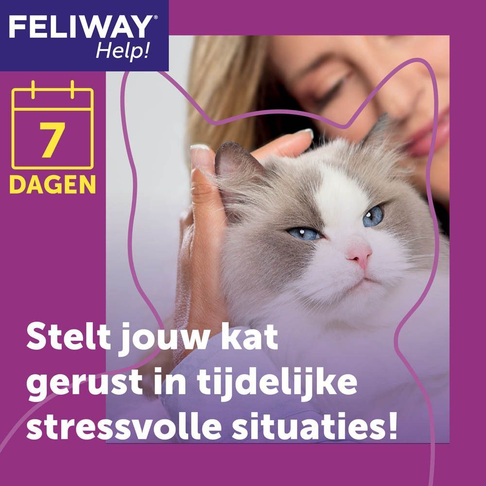 Een vrouw houdt een kat vast, FELIWAY Help! kalmeert katten in stressvolle situaties.