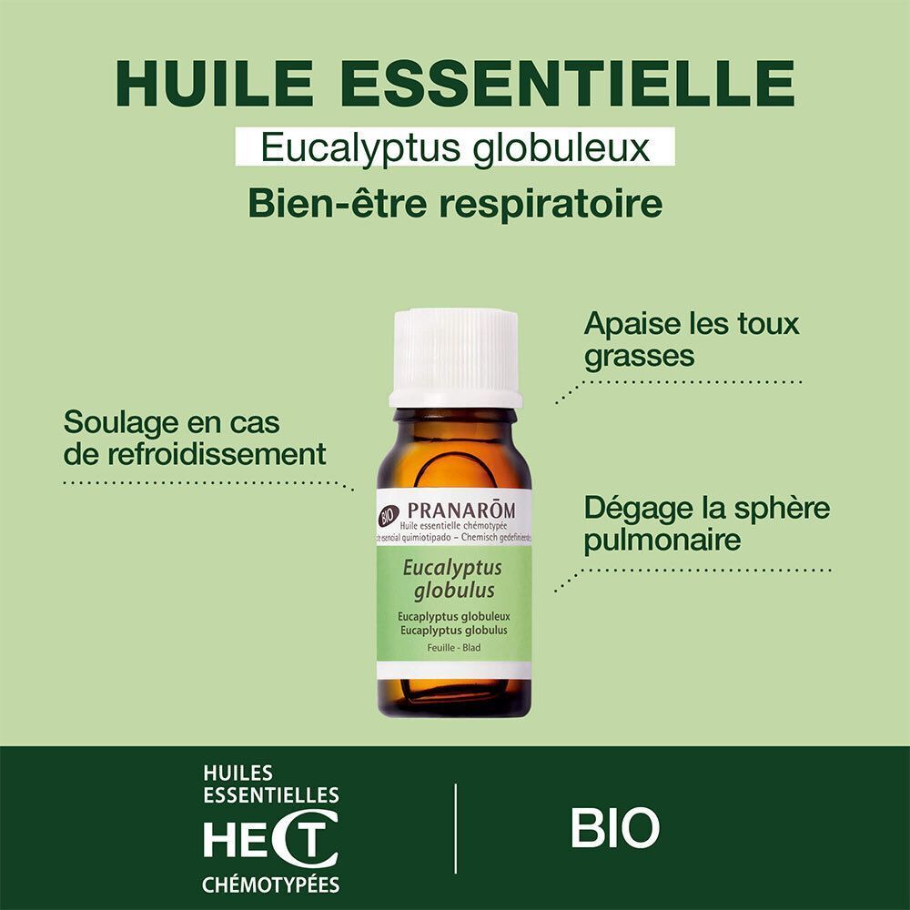 Flacon d'huile essentielle d'Eucalyptus globulus bio avec indications bien-être respiratoire.