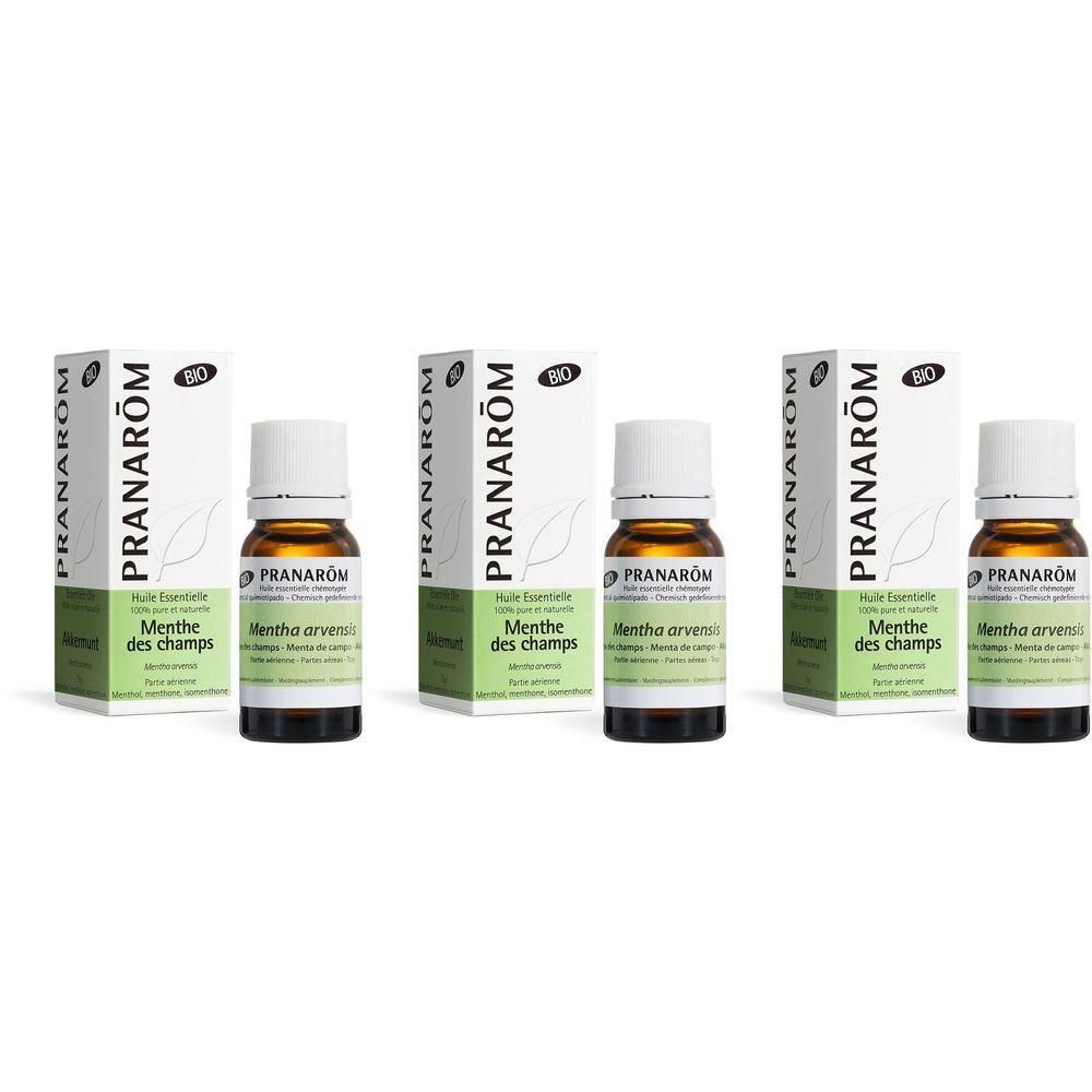 Trois flacons d'Huile Essentielle Bio Menthe des Champs Pranarôm avec boîtes. Flacons en verre brun.