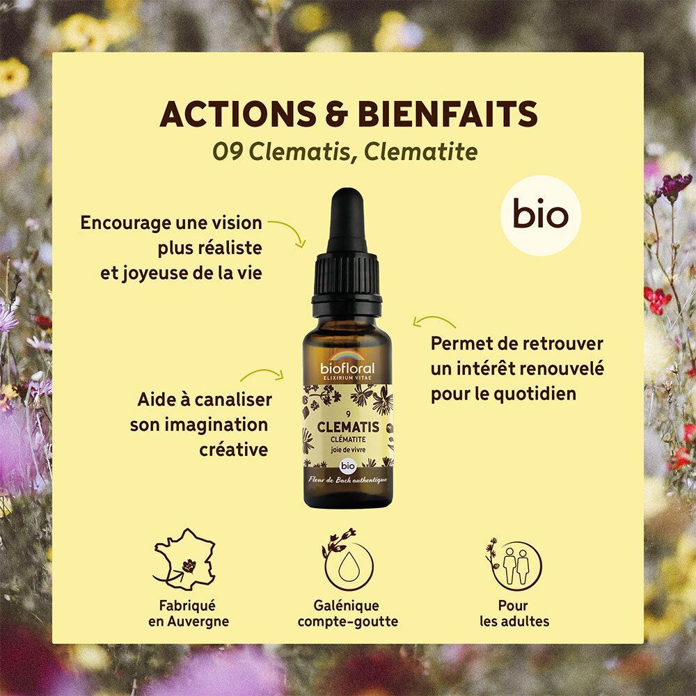 Flacon de Clématite Biofloral avec pipette, entouré d'icônes et de texte sur les bienfaits.