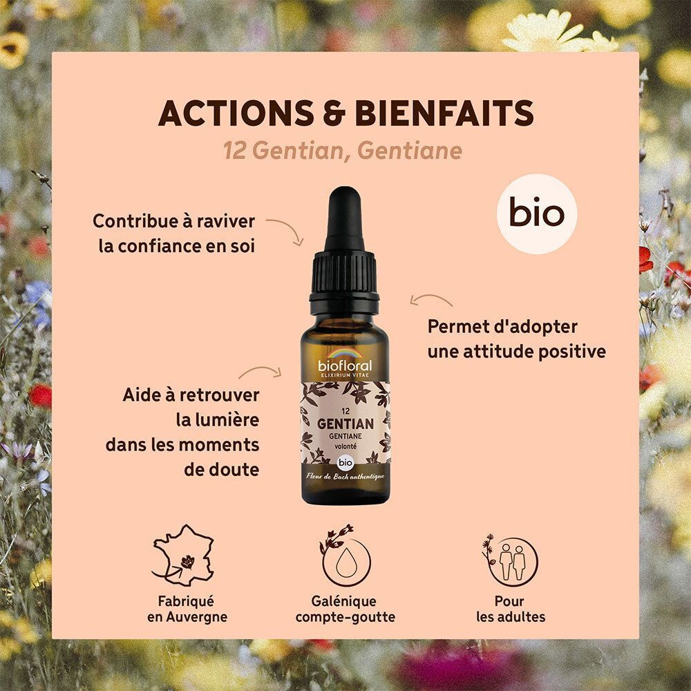 Flacon compte-gouttes Gentiane, entouré de textes sur les actions et bienfaits, avec label BIO.