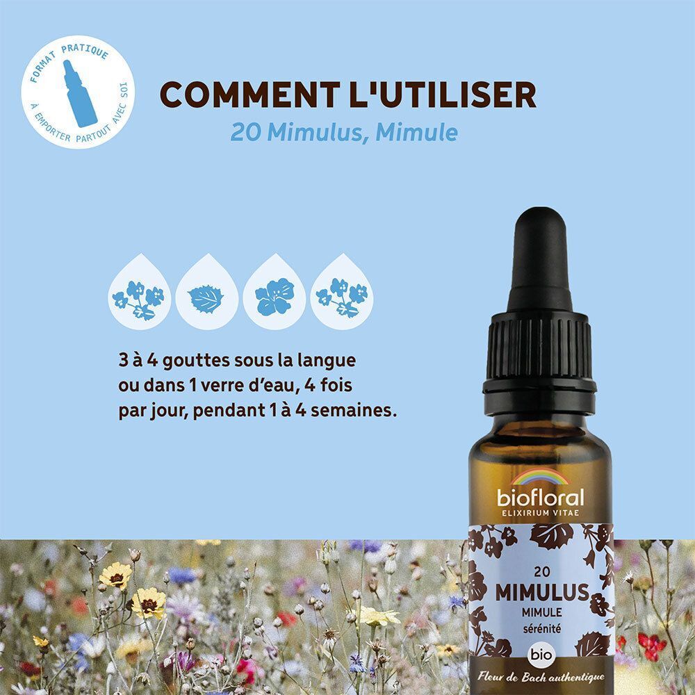 Flacon BIOFLORAL 20 Mimulus, entouré d'icônes et de texte sur comment l'utiliser.