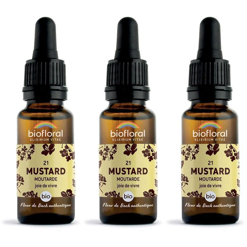 Trois flacons en verre brun avec compte-gouttes, étiquette "biofloral 21 MUSTARD".