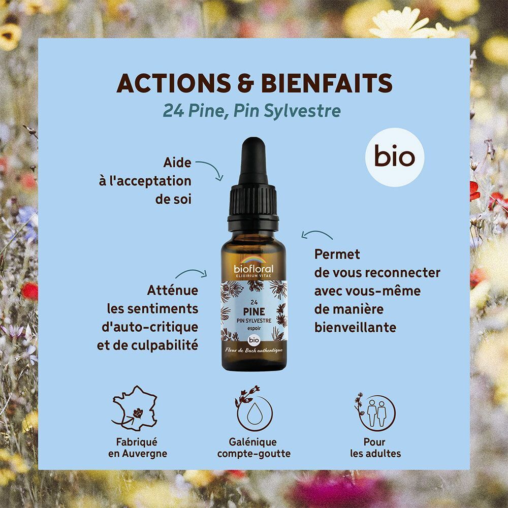 Flacon avec compte-gouttes, étiquette à motifs de pins, texte et label bio.