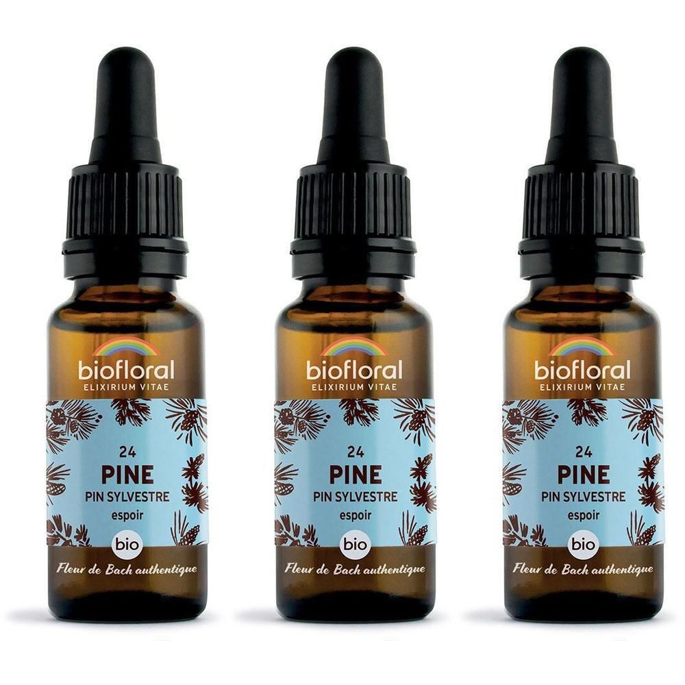 Trois flacons en verre brun avec compte-gouttes, contenant BIOFLORAL 24 Pine.