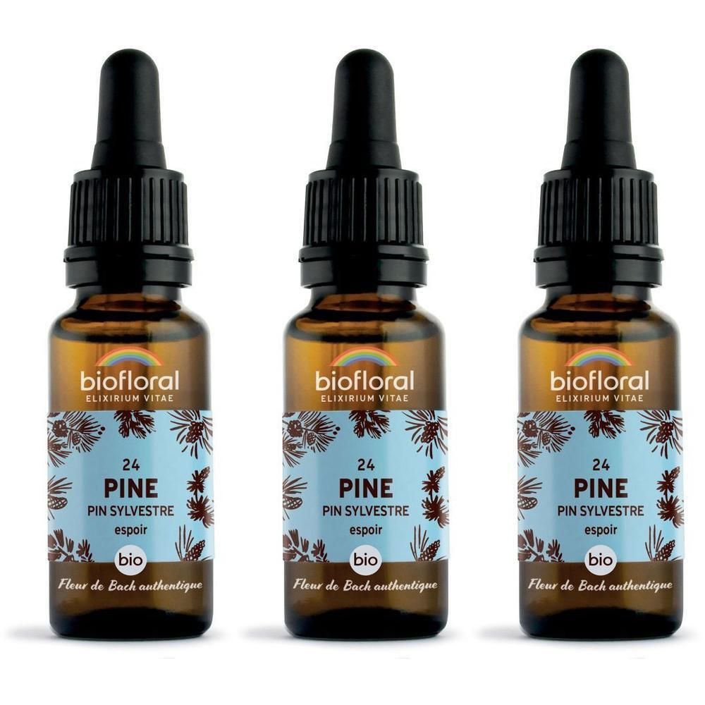 Drie bruine glazen flesjes met druppelaar, gevuld met BIOFLORAL 24 Pine.