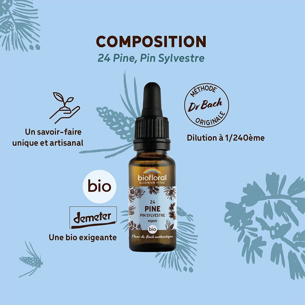 Flacon BIOFLORAL 24 Pine avec explications sur la composition et la méthode.