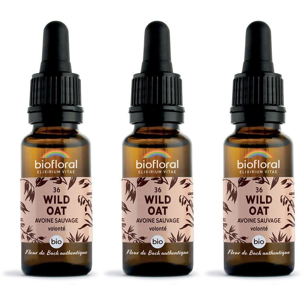 Trois flacons en verre brun avec compte-gouttes, étiquettes "Wild Oat".