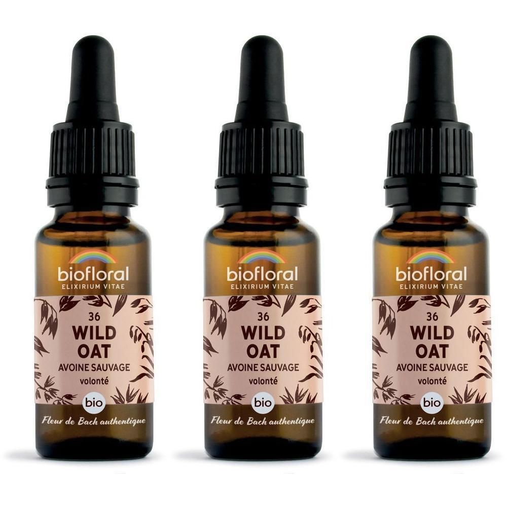 Drie bruine glazen flesjes met druppelaar, etiketten met "Wild Oat".