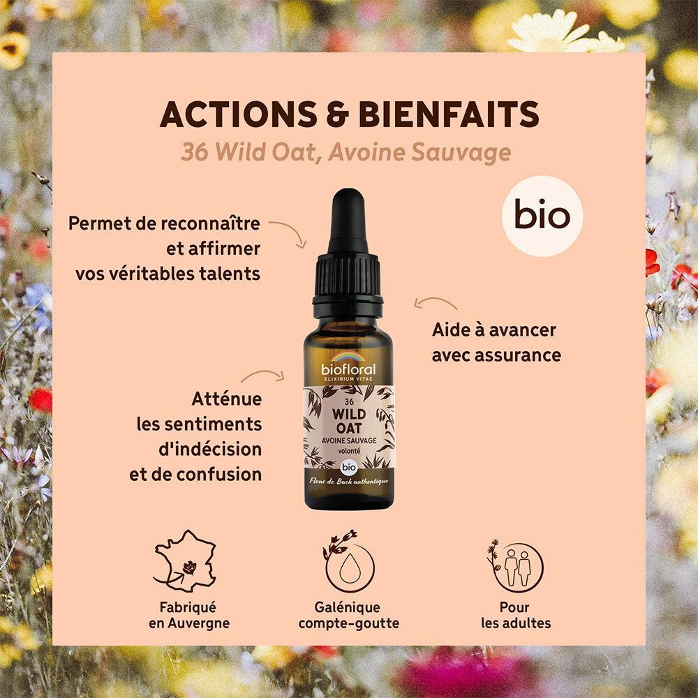 Flacon avec pipette, entouré de texte sur les bienfaits et d'icônes. "Wild Oat" sur l'étiquette.