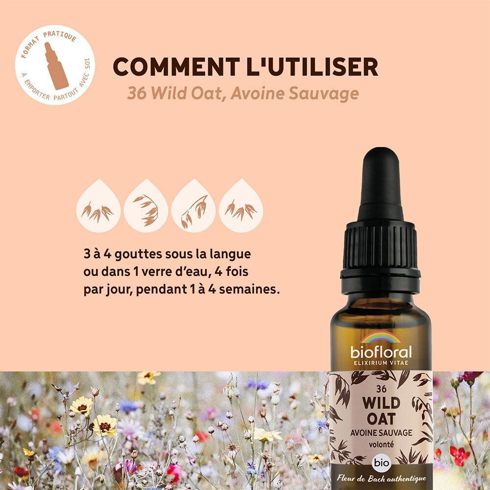 Flacon avec pipette, à côté de texte et d'icônes sur l'utilisation. "Wild Oat" sur l'étiquette.