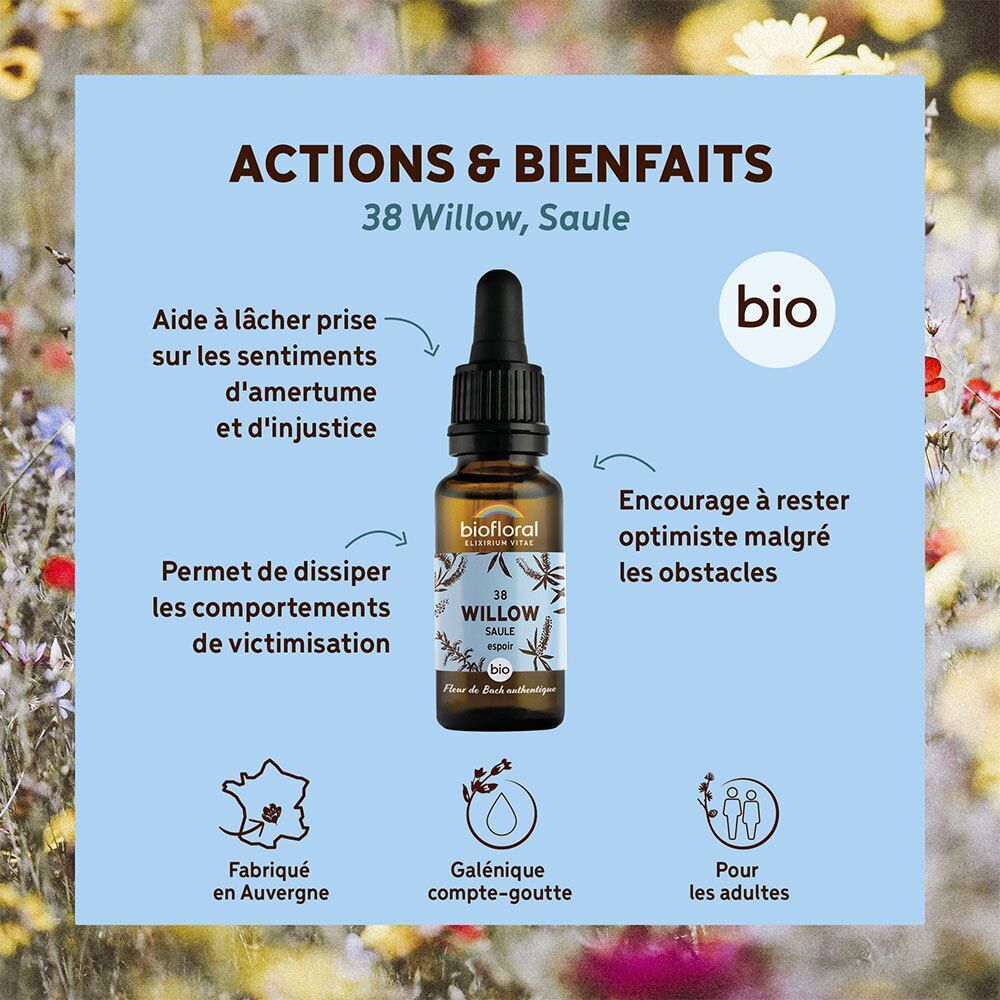 Flacon compte-gouttes Biofloral 38 Willow avec pipette, entouré de texte et d'icônes.
