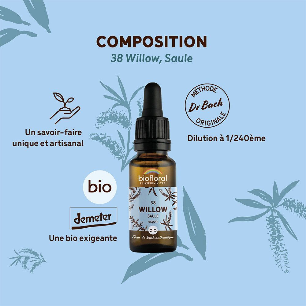 Flacon compte-gouttes Biofloral 38 Willow avec pipette, avec sceaux et texte.