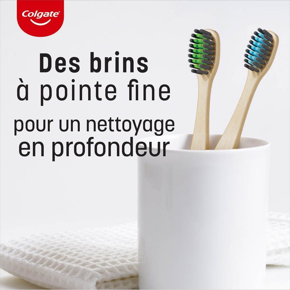 Deux brosses à dents aux poils fins dans un gobelet blanc.