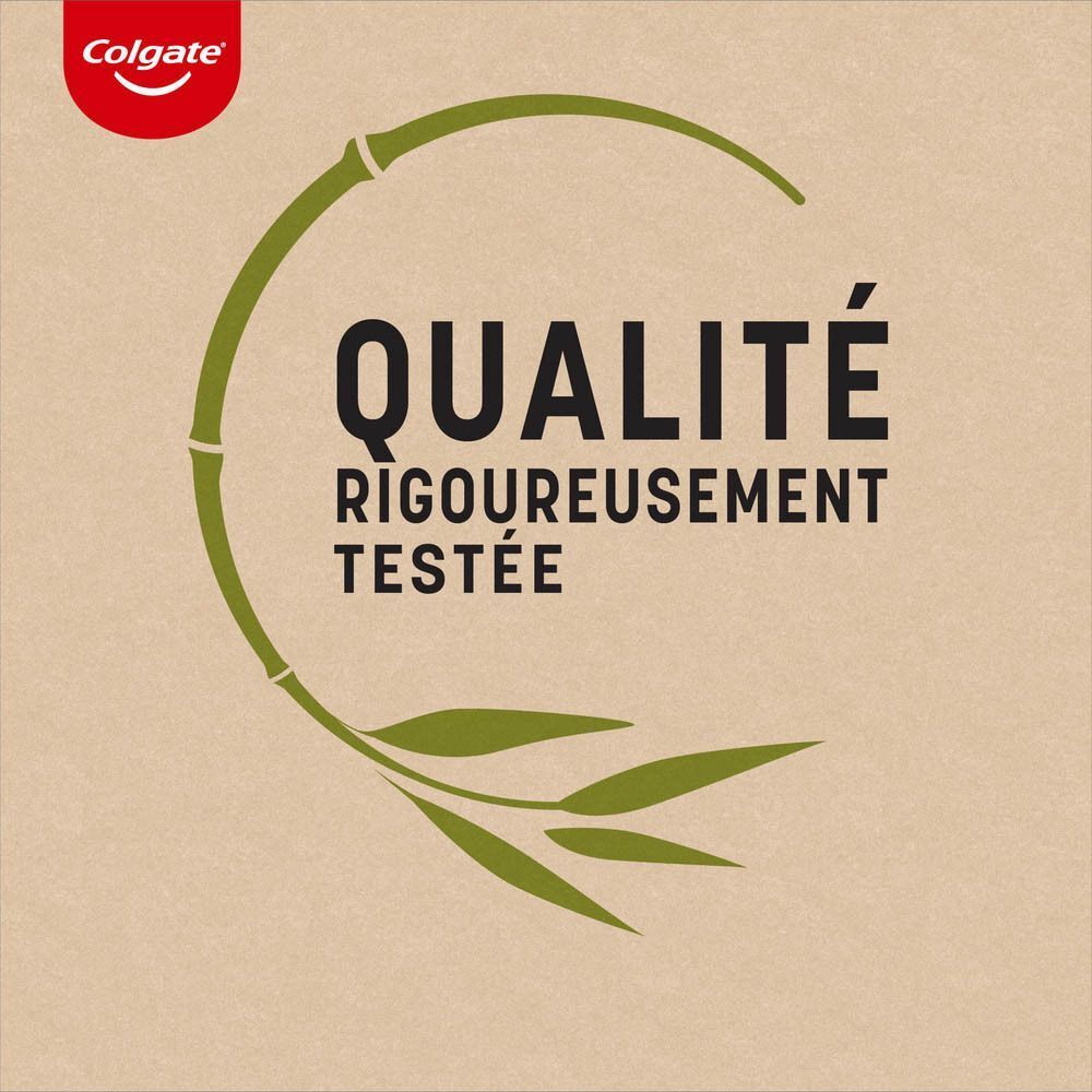 Logo avec motif de bambou et texte 'Qualité rigoureusement testée'.
