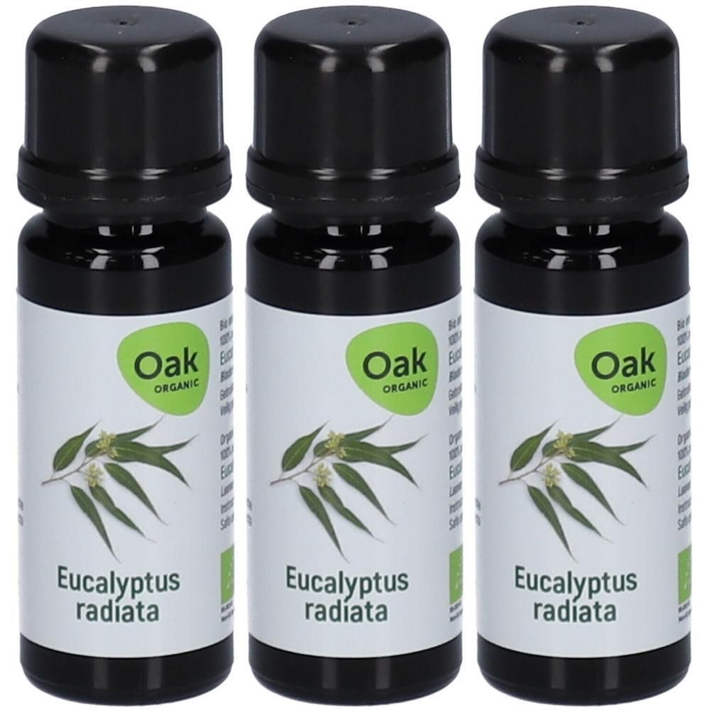 Trois flacons d'huile essentielle Oak Organic Eucalyptus Radiata avec des feuilles d'eucalyptus sur l'étiquette.